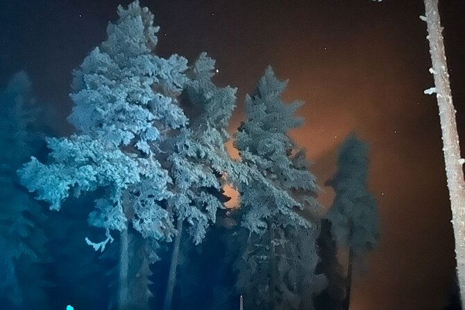 Northern Lights dinner in a Glass Igloo - Price and value: is $321 per person worth it?