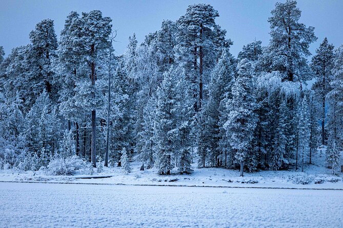 Northern Lights Holiday in Finland - Day 4 winter trek across snow: guided walking plus sauna reset