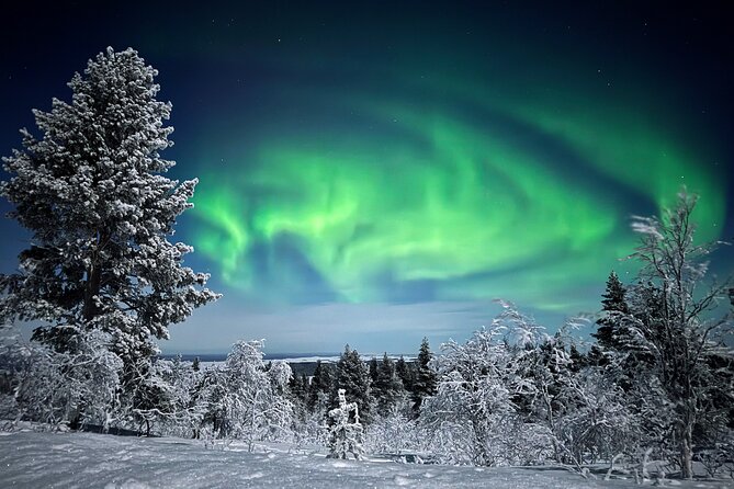Northern Lights Holiday in Finland - Day 1 flow: arrive in Ivalo, meet your team, and ease into the cold