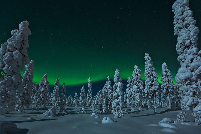 Northern Lights Hunt from Rovaniemi with Folk Tales and Snacks over Campfire - How the 9:30 pm timing makes or breaks aurora hunting