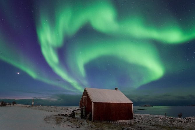 Northern Lights Hunt Including Snacks on Campfire from Rovaniemi - Who this tour suits best