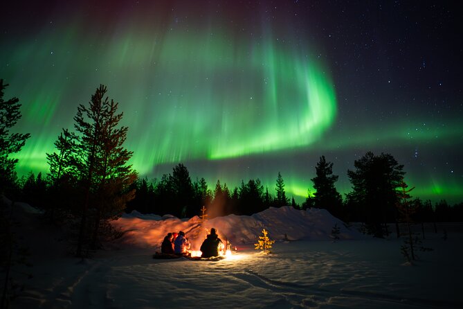 Northern Lights Hunting Expedition in Ranua, Lapland - Pro photography help: turning the aurora from luck into photos