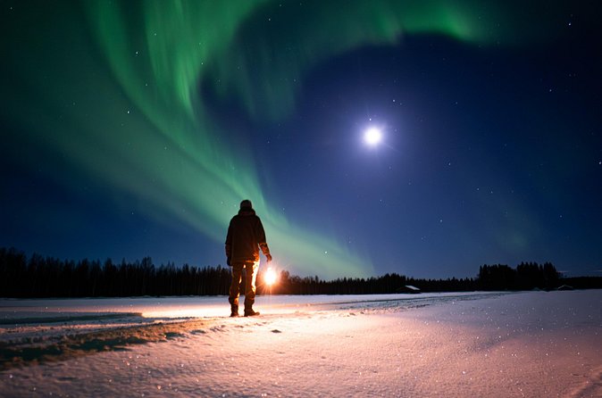 Northern Lights Hunting Expedition in Ranua, Lapland - What you’re paying for: value of $323.21 per person