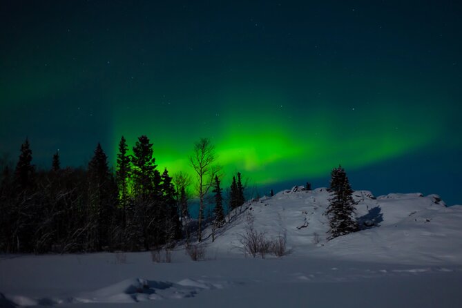 Northern Lights Hunting of Rovaniemi - Why This Aurora Hunt Feels Practical (Not Just a Drive)