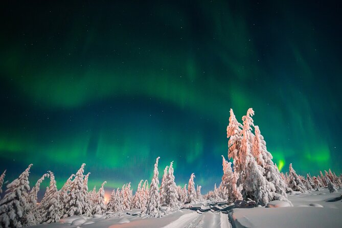 Northern Lights Hunting of Rovaniemi - Price and Value: Why $89.36 Can Make Sense Here