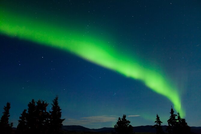 Northern Lights Hunting of Rovaniemi - Pickup and Timing Details That Can Make or Break the Night