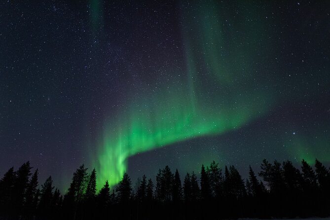 Northern Lights Hunting with a photographer (Only small groups) - Aurora Hunting With a Photographer: What Actually Happens in Rovaniemi