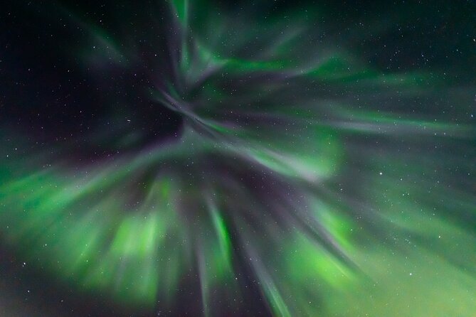 Northern Lights Hunting with a photographer (Only small groups) - Price and Value: Is $223.57 Worth It for 5.5 Hours?