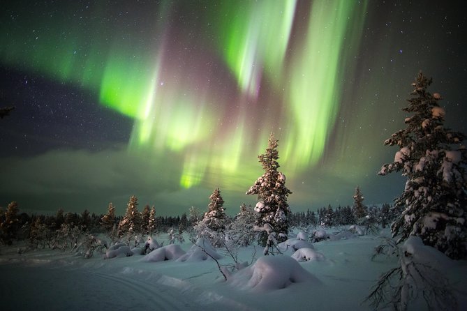 Northern Lights Hunting with Snowmobiles - Why this Rovaniemi snowmobile-and-aurora combo is such good value