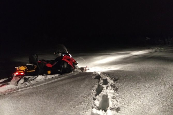 Northern Lights Night by Snowmobile (private tour) - The snowmobile ride: forest trails, open lakes, and steady guidance