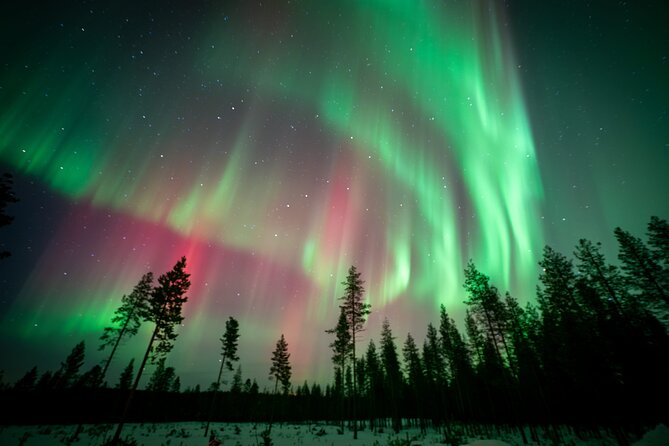 Northern Lights Photography Tour - The on-the-ground rhythm: what you’ll likely do during the 3–4 hours