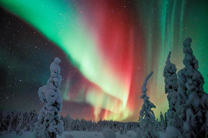 Northern Lights Photography Tour from Rovaniemi - Where this Northern Lights photography tour fits in your Lapland trip