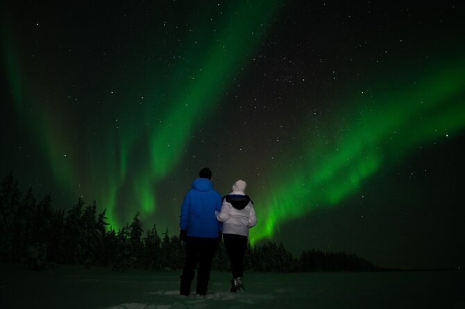 Northern Lights Reindeer Sledge Ride - Key things I’d focus on before you go