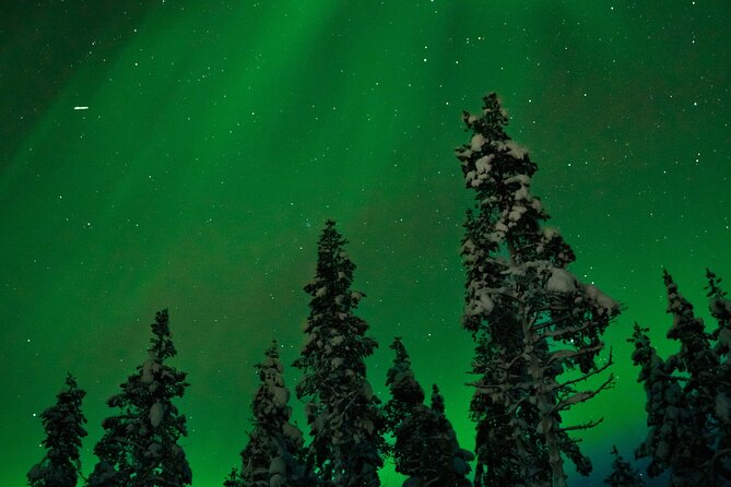Northern Lights Reindeer Sledge Ride - A short Lapland night with a real purpose