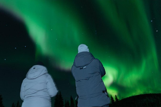 Northern Lights Rovaniemi: Guaranteed Tour with Local Guide - Getting picked up: convenience within 20 km of Rovaniemi