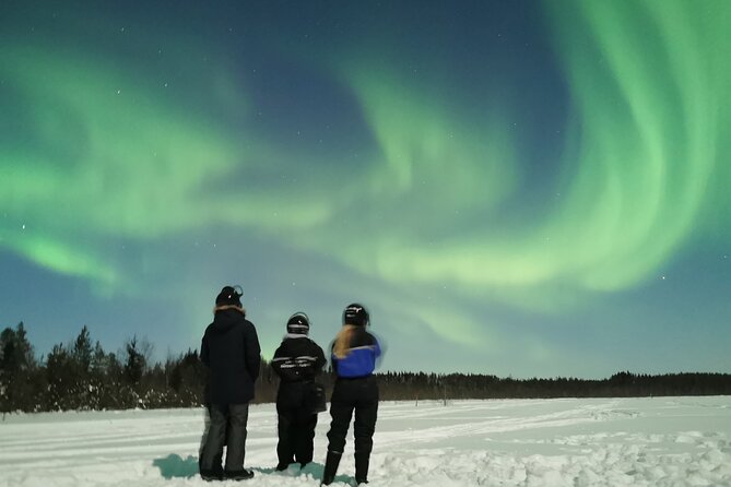 Northern Lights Sledge Ride - Aurora reality check: what you can control and what you can’t