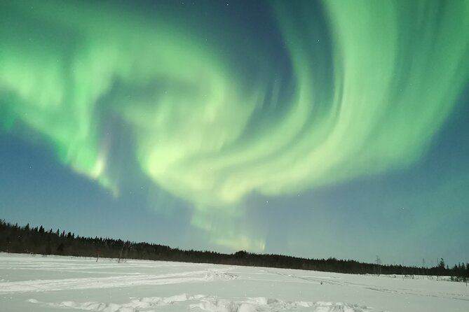 Northern Lights Sledge Ride - Where to meet your guide (and why timing matters more than you think)
