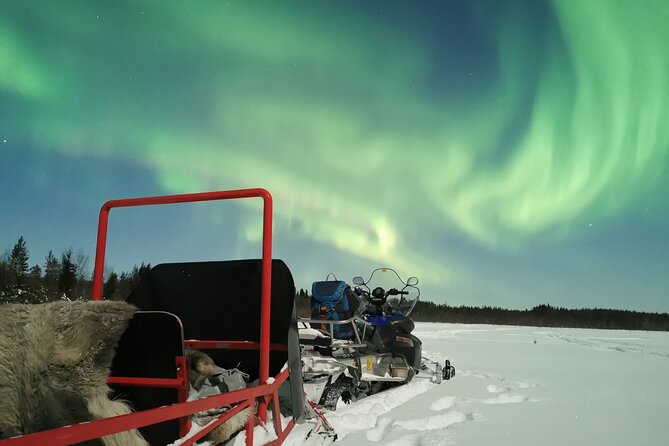 Northern Lights Sledge Ride - Price and value: does $92.52 make sense?