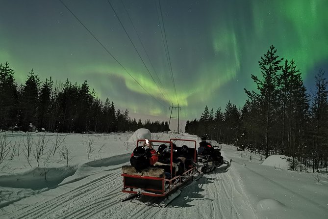 Northern Lights Sledge Ride - Small logistics notes that can save your night