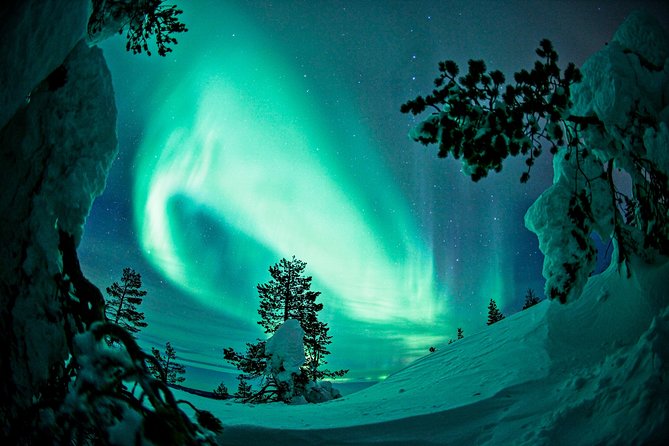 Northern Lights Snowmobile Driving Safari in Kemi - Learning to snowmobile: what you’re really signing up for