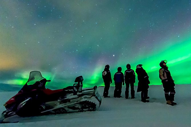 Northern Lights Snowmobile Safari from Rovaniemi with Campfire Picnic - Key Highlights at a Glance