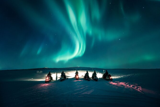 Northern Lights Snowmobile Safari from Rovaniemi with Campfire Picnic - Price and Logistics: What $239.62 Buys You in Rovaniemi