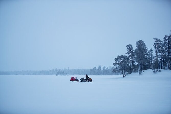 Northern Lights Snowmobile Sledge Ride in Rovaniemi - Northern Lights by Sledge in Rovaniemi: What You’re Signing Up For