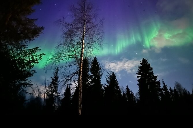 Northern Lights Tour At The Campfire - How the 8:00 pm campfire aurora plan fits winter life in Rovaniemi