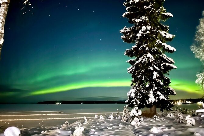 Northern Lights Tour At The Campfire - Price and value: is $131.35 worth it?