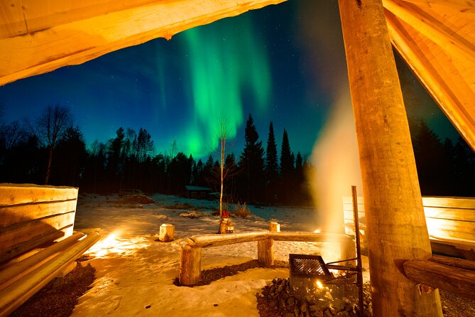 Northern Lights Tour in Atmospheric Cottage - Food, Warmth, and Value: Where $166.83 Can Feel Great or Annoying