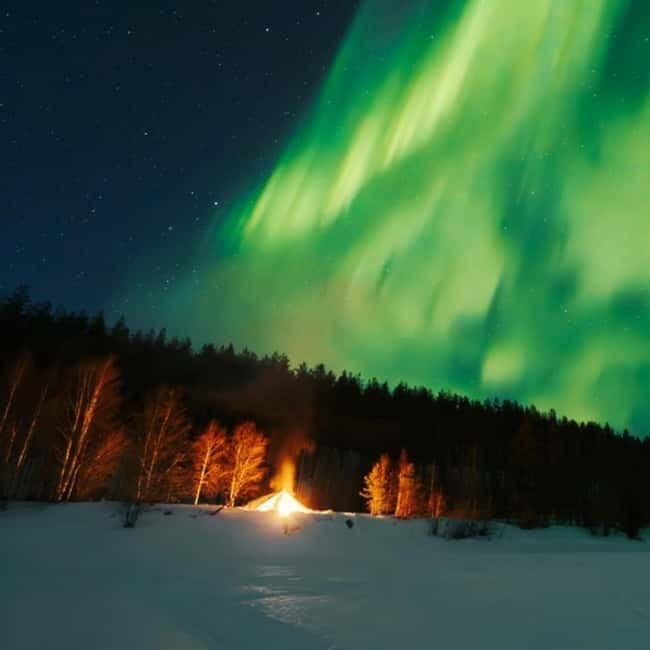 Northern Lights Tour Sleigh Ride - The Heated Sleigh Comfort: Reindeer Pelts, Warm Seating, and Real Cold-Weather Prep
