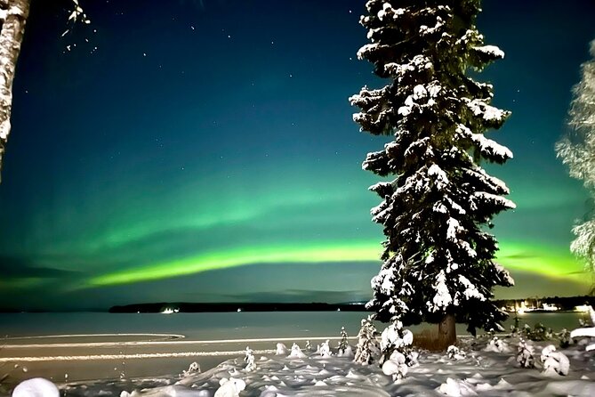 Northern Lights Tour Snowmobile Driving - Key things I’d bet you’ll care about