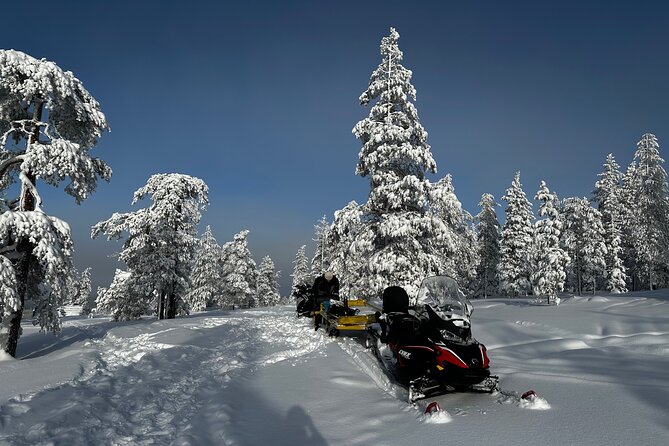 Northern Lights Tour Snowmobile Driving - Northern Lights by snowmobile: why this tour works in winter