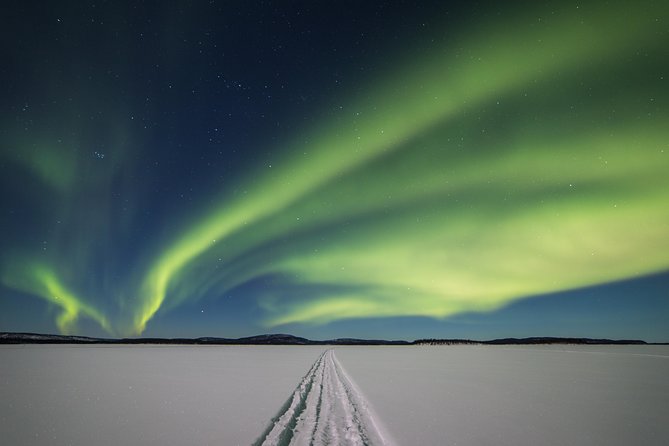 Northern lights tour to Lake Inari from Ivalo, Reindeers & Dinner - Key takeaways before you book