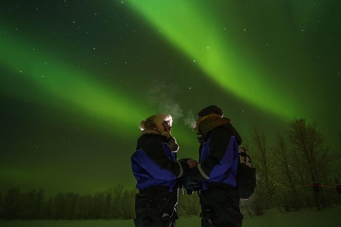 Northern lights tour to Lake Inari from Ivalo, Reindeers & Dinner - Reindeer feeding and local lifestyle: the authentic layer beyond aurora hunting