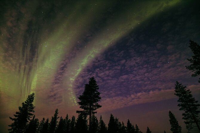 Northern Lights Tour with BBQ and drinks - Price and What You’re Really Buying