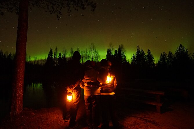 Northern Lights Trip to a Magical Place in Lapland - Price and value: what you’re paying for at $119.09