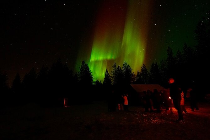Northern Lights Trip to a Magical Place in Lapland - Weather dependence: how to plan your expectations