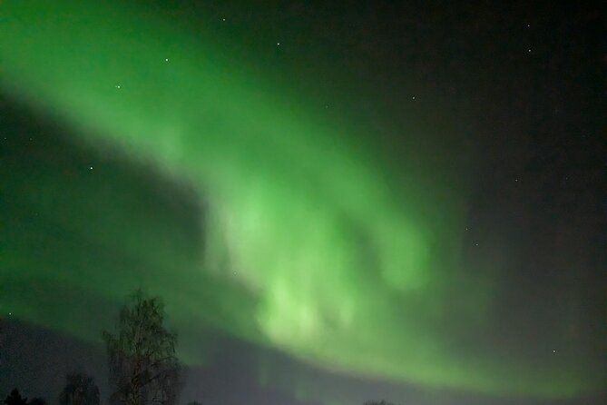 Northern Lights Walk to Old Kemi with BBQ and Arctic Views - Key highlights I’d circle on your plan