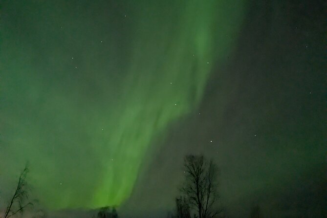 Northern Lights Walk to Old Kemi with BBQ and Arctic Views - Campfire shelter, BBQ, and the warmth setup that matters