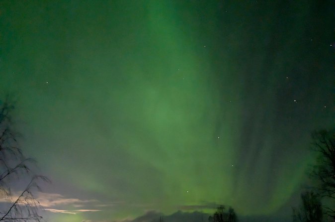 Northern Lights Walk to Old Kemi with BBQ and Arctic Views - Should you book the Northern Lights Walk to Old Kemi?
