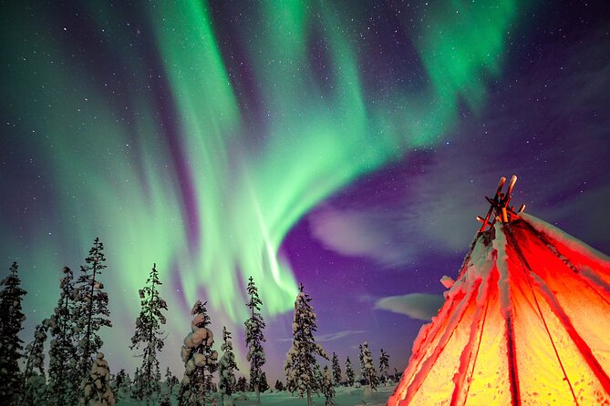 Northern Lights Wilderness Small-Group Tour from Rovaniemi - Key Things That Make This Aurora Tour Feel Worth It