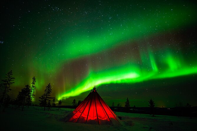 Northern Lights Wilderness Small-Group Tour from Rovaniemi - The Realistic Northern Lights Expectation: How to Judge Success