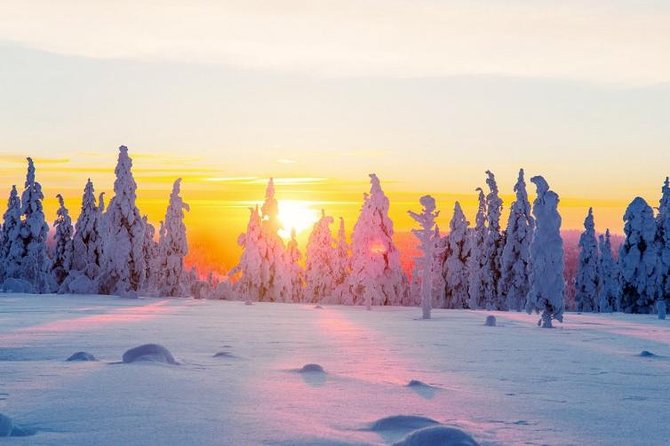 Ounasvaara and Ranua Zoo - Your day at a glance: how the 6–7 hours typically feel