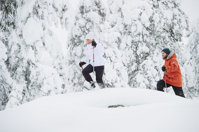 Premium Snowshoeing in Pyhä-Luosto National Park - Key highlights worth aiming for