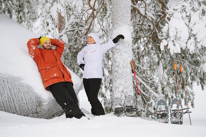 Premium Snowshoeing in Pyhä-Luosto National Park - Bonfire meal and hot berry drinks: comfort that also shapes the pacing