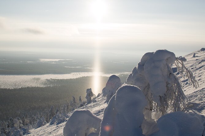 Premium Snowshoeing in Pyhä-Luosto National Park - Down into the Arctic taiga forest: tailored routes and winter walking reality