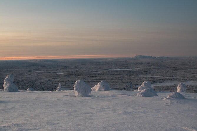 Premium Snowshoeing in Pyhä-Luosto National Park - Winter photography: snow shapes, snow monsters, and sky effects