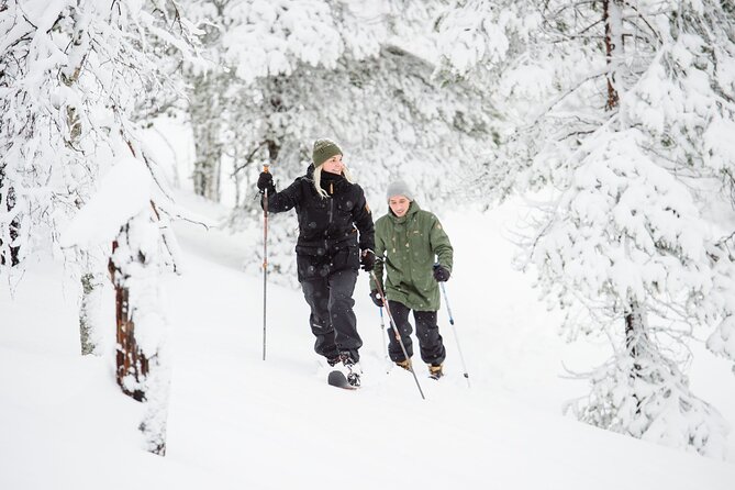 Premium Wilderness Skiing in Pyhä-Luosto National Park - Key Points Before You Go
