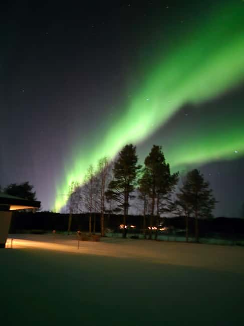 Private and authentic reindeer experience in homefarm - Who should book this reindeer home-farm experience